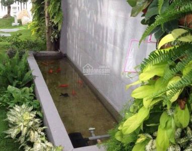 Cho Thuê Căn Góc Biệt Thự Đơn Lập Mỹ Kim, Khu Vực Yên Tĩnh, LH: 0918850186 Hiên