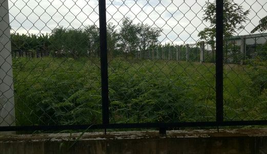 Kẹt Tiền Bán Gấp Đất Bình Chánh, 1.360m2 Mặt Tiền Liên Ấp 4 - 5, Xã Đa Phước, Giá 3 Tr/m2