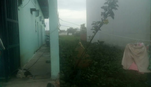 Cần Tiền Bán Gấp Đất Tân Đức Đức Hòa Long An Chỉ 300 Triệu/100m2 Shr