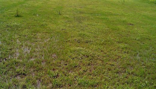 Cần Bán Đất 200m2, Tại Xã Hoà Khánh Nam, Đức Hoà – Long An.