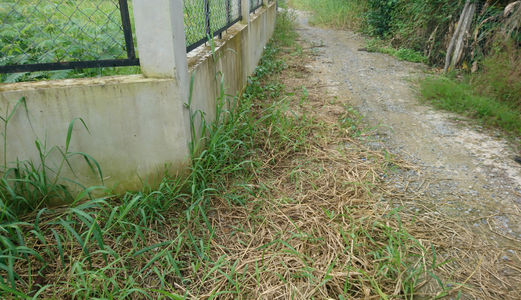 Đất  Bình Chánh,1170 M2 Đường 4c, Giá 2,85tỷ, Đất Đẹp, Chính Chủ, Shr