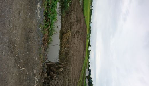  Đất  Bình Chánh 1270m2, 2.6tr/M2,Mặt Tiền Tập Đoàn 16, Đa Phước, Bình Chánh, Shr