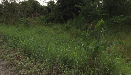 Bán 1000m2 Đất, Giá: 1,350 Tỷ Đường Liên Ấp 4-5, Xã Đa Phước, Bình Chánh.