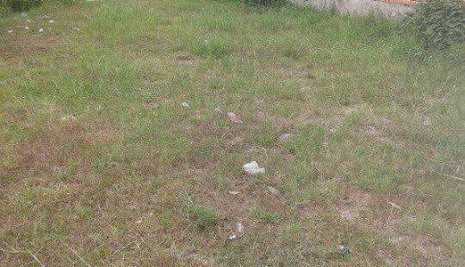 Đất Xây Xưởng Đức Hoà - Long An.DT 1000m2 Thổ 100%