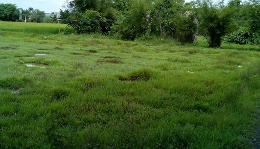 Cần Bán Gấp Đất 340m2 Đất Thổ Cư, Tại Ấp Bình Tiền 1, Đức Hoà – Long An.