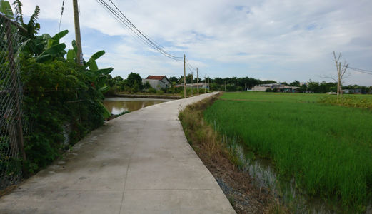 Rẽ Nhất 100 M2 Đường Nhánh Liên Ấp 4-5 - Đa Phước – Bình Chánh