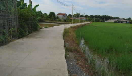 Rẽ Nhất 100 M2 Đường Nhánh Liên Ấp 4-5 - Đa Phước – Bình Chánh