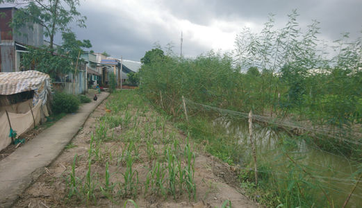 Qua Casino Sang Gấp 999 M2 Đường Nhánh Liên Ấp 4-5 - Đa Phước – Bình Chánh