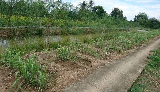 Qua Casino Sang Gấp 999 M2 Đường Nhánh Liên Ấp 4-5 - Đa Phước – Bình Chánh