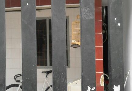 Nhà Cấp 4 Đường 385,Dt 54 M2 Giá 2,1 Tỷ.TNPA. Quận 9.
