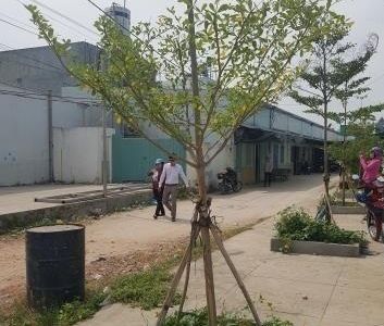 Đất Bán Thổ Cư  55m2 Giá 950tr ( 65% ) Sỗ Hồng Riêng Tại Bình Tân