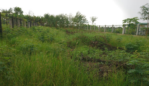 Đất Kho/Xưởng 1171 M2 Đường 4C - Đa Phước – Bình Chánh