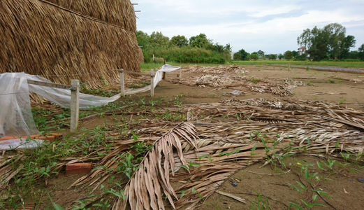    1,1tr/M2, 3000m2 Đất Bình Chánh Đường Đinh Đức Thiện, Bình Chánh.