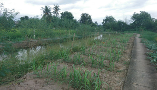 Đất  Bình Chánh 1000m2, 1.35tr/M2, Đường Liên Ấp 4-5, Đa Phước, Bình Chánh