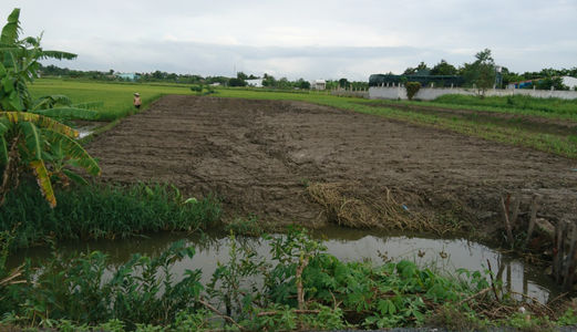 Bán Gấp 2.6tr/M2,1233m2 Đường Tập Đoàn 16, Đa Phước, Bình Chánh