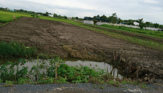 Tôi Cần Bán Miến Đất  Bình Chánh 1270m2, 2.6tr/M2,Mặt Tiền Tập Đoàn 16, Đa Phước, Bình Chánh, SHR,