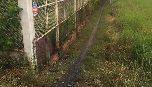 Cần Tiền Sang Gấp Lô Đất 12x70m Đa Phước,Bình Chánh.Đất Đẹp 3 Mặt Tiền