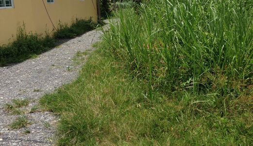 Cần Bán Đất Gấp, Diện Tích 6x60m, 360m2 Giá 1,8 Tỷ Cấp Sổ Riêng. Đất Thổ Cư Mặt Tiền Sông Lu Cách C