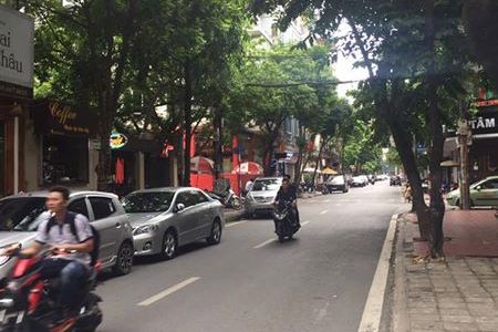 Mặt Phố Nguyễn Thị Định, Kinh Doanh Siêu Lợi Nhuận, 52m, 6 Tầng, Mt 4m, Vỉa Hè 5m .