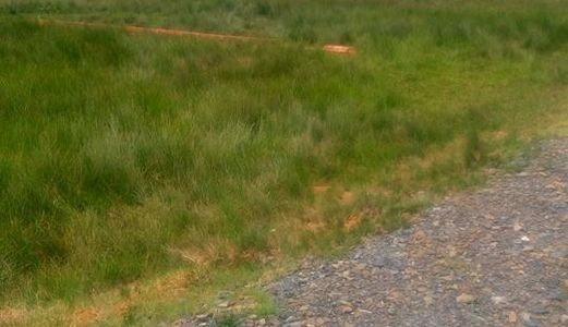 Đất 20x25m Sổ Riêng.Giá 320 Triệu Đường Tỉnh Lộ 9 