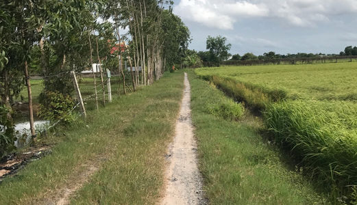 Bán Gấp Đất Tại Đức Hòa, Long An -  Diện Tích: 5991m2