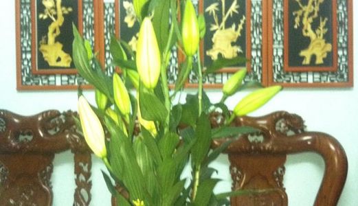 Bán Nhà Cho Con Du Học