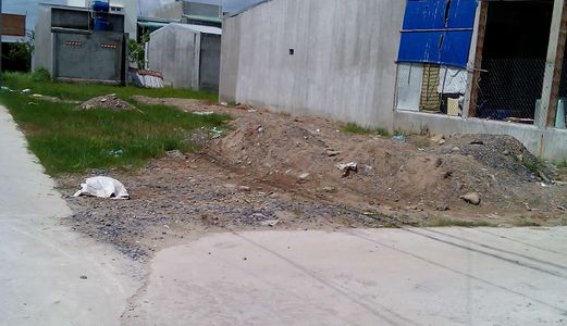 Cần Bán Gấp Đất Chính Chủ 266m2, Tại Bình Tiền 2, Đức Hoà – La