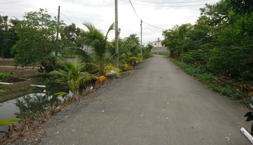 Hụt Tiền Bán Gấp 2100m2 1,2tr/M2 MT Võ Văn Thu - Bình Chánh.