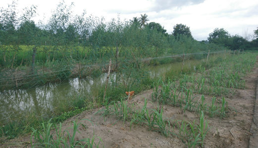 Nợ Nóng Bán Gấp 1007 M2 1,35tỷ - Đa Phước Bình Chánh.