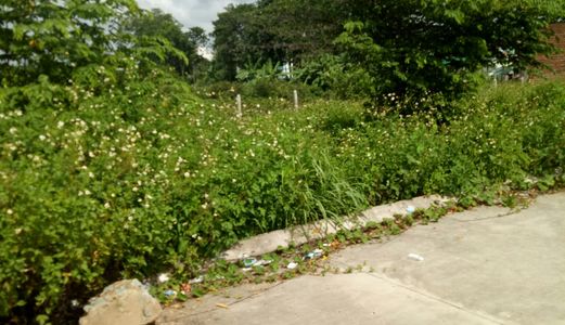 Lô Đất Nền Sổ Cặp, Đường TL19, Dt 100m2