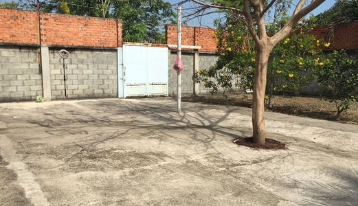 Đất Chợ  Hóc Môn ,Khu Dân Cư Đô Thị Dt 50m2 , Đường Tân Hiệp 16 