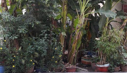 Bán Đất MT Đường Số 2 Khu Tên Lửa,P. Trị Đông B, Q.Bình Tân, 2.5 Tỷ, 4x16m