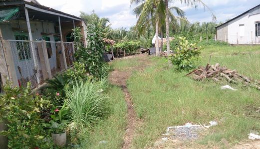 Cần Trả Nợ Bán Gấp 800m2 Đất Bình Chánh, Giá 1,4tr/M. Shr, Mặt Tiền Đường Nhựa.
