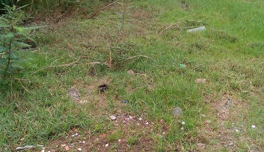 Cần Bán Gấp 90m2 Đất Thổ Cư, Thuộc Khu Vực 4 Thị Trấn Đức Hoà, Đức Hoà – Long An.