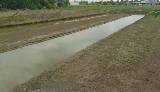Phân Chia Tài Sản Bán Gấp 2100m2 1,2tr/M MT Võ Văn Thu - Bình Chánh