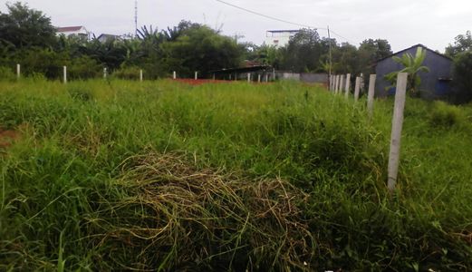 Kẹt Tiền Bán Gấp  Đất  Bình Chánh 1300m2 Mặt Tiền Đường 3 Chả, Xã Hưng Long, SHR