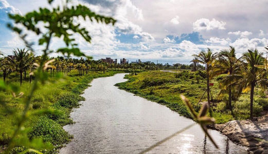 2 Lô Liền Kề Sở Hữu Sông Cổ Cò Hướng Đông Nam Bao Sổ Đỏ Đường 17m2