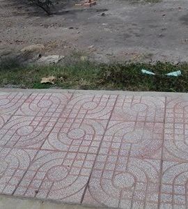 Đất 55m2 TC Đường 41, Gò Cát, Phú Hữu, Q9