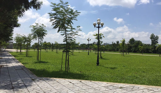 Đất Nền Kđt Cát Lái Q.2 Thổ Cư 100% Mt 40m Giá Ưu Đãi 580tr/Sở Hữu Ngay Tttm Nhật Bản Tt 50% Góp 0%