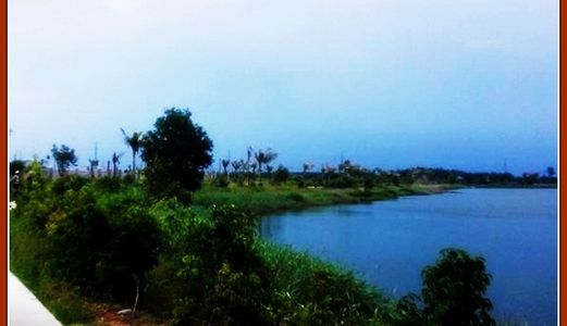 Cần Thanh Lý Gấp Đất Quận 2, Mặt Tiền Đường Rộng 15m, Sổ  Riêng