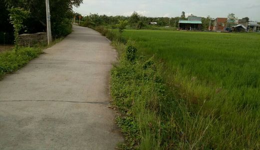 Anh 7 Nợ Vay Nóng Bán Gấp 1355m2 Đất Xã Đa Phước, Bình Chánh, Giá Rẻ, Chính Chủ