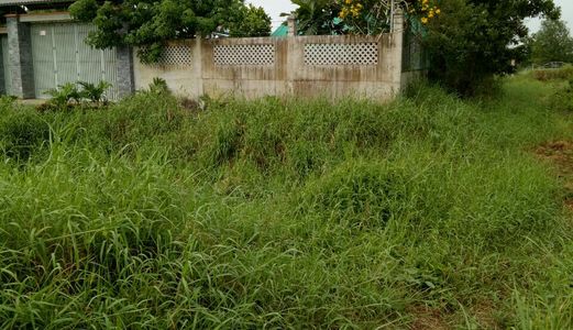 Anh 7 Nợ Vay Nóng Bán Gấp 1355m2 Đất Xã Đa Phước, Bình Chánh, Giá Rẻ, Chính Chủ