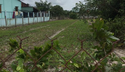 Cần Bán Gấp 1010 M2 Đất Xã Đa Phước, Bình Chánh.