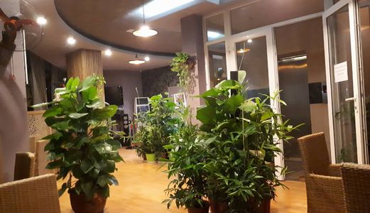Bán Nhà Mặt Phố Trung Kính, 55M2, Vỉa Hè Rộng, Kinh Doanh Đỉnh, Có 1 Không 2 Ở Cầu Giấy.