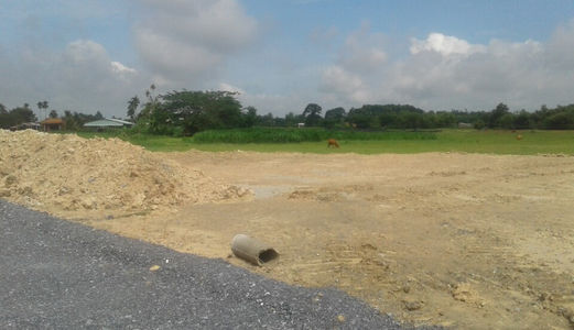 Đất Thổ Cư Chính Chủ Khu Dân Cư SHR - Giá 230 Triệu - Góp 0% Dài Hạn