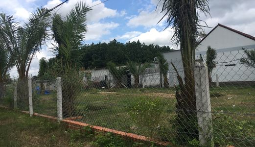 Đất Củ Chi, Shr, Bao Sang Tên, Xã Tân Thông Hội.