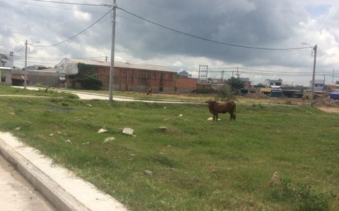 Đất Thổ Cư Mặt Tiền Đường Vĩnh Lộc, SHR, 5x16 = 1,5 Tỷ Ngay UBND Vĩnh Lộc B