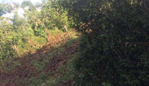 Bán 8 Lô Đất Liền Kề, Đã Có Thổ Cư Cuối Đường Y Moan.