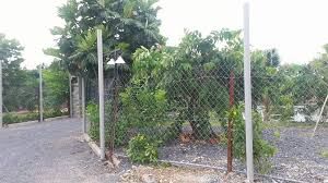 Trả Nợ Bán Gấp 1058 m2 Đất Bình Chánh, Đường Nhựa, Shr. Giá 2.12 Tỷ. LH 0903660560.