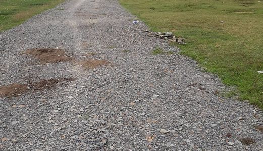 Đất Đường Võ Văn Vân, Vĩnh Lộc B, Bình Chánh